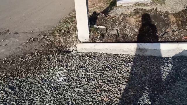 Котлеты мясные с кабачком/ Предложили - я не отказалась/