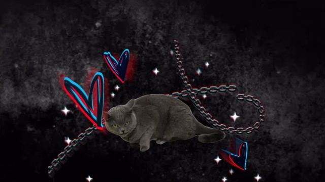 Темная эстетика 🦇🕶️/котик Мия