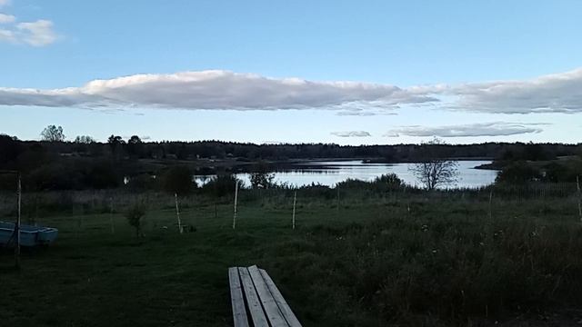 Дом у озера. Заморозки: урожай и утки. 25.09.2025.