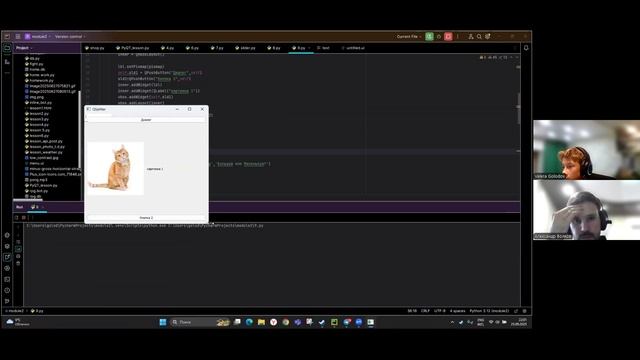 Video1754438692