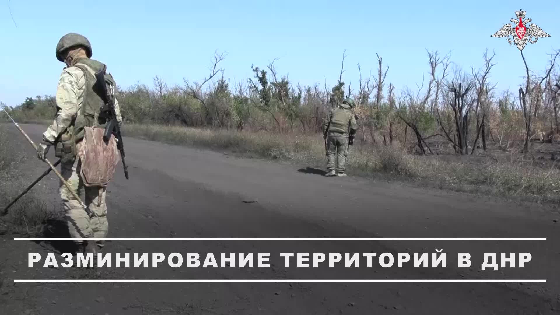  Саперы 8-й гвардейской армии группировки войск Южная уничтожают мины и неразорвавшиеся боепр...