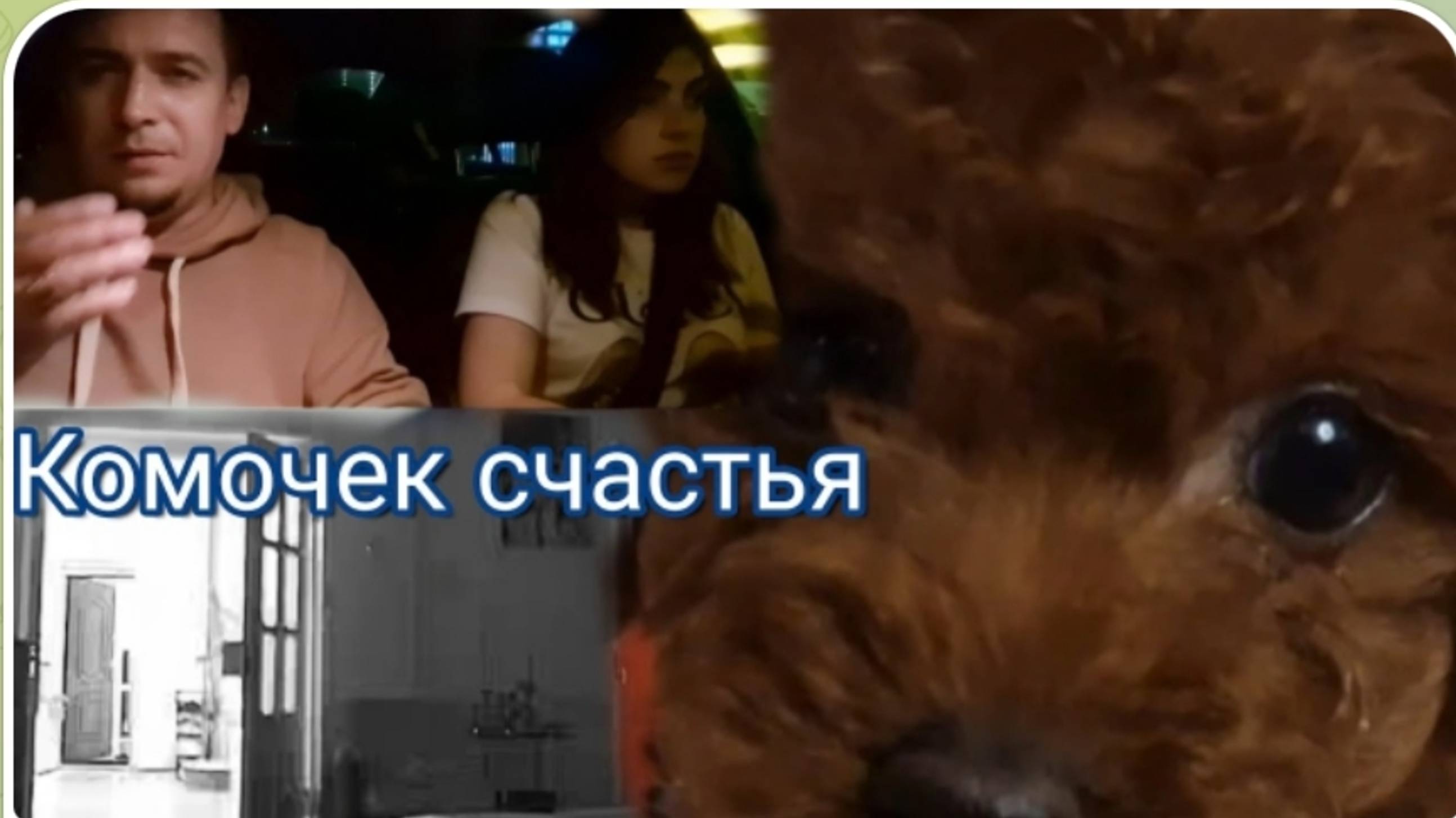 САМВЕЛ АДАМЯН, ГАРИК И КЕРРИ, НАШЕ МАЛЕНЬКОЕ СЧАСТЬЕ, ЗРЯ ПОЕХАЛИ НА ДАЧУ, БУДНИ МАРСЕЛЯ..