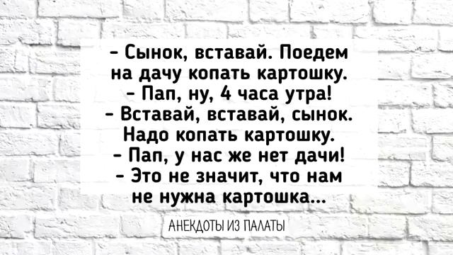 Отличная Подборка Анекдотов! Лучшие Смешные Анекдоты для Настроения! Выпуск 12