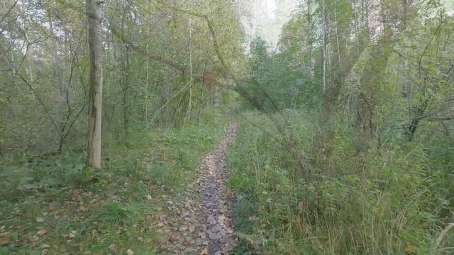 Летняя Велопрогулка Юго-Западный лесопарк в Екатеринбурге