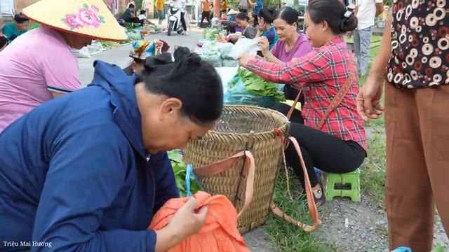 Harvest Green Vegetables To Sell At The Market - Cook. Trieu Mai Huong