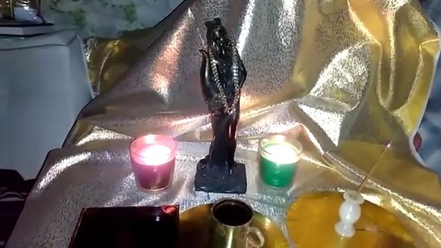 ОТЗЫВЫ О ЛЮБИМОЙ ФОРТУНЕ...ИНГА ХОСРОЕВА.