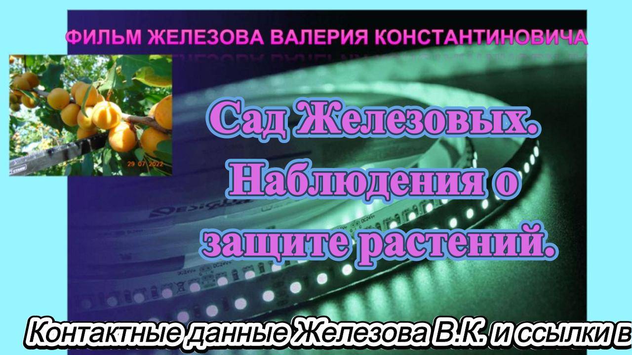 Сад Железовых. Наблюдения о защите растений.
