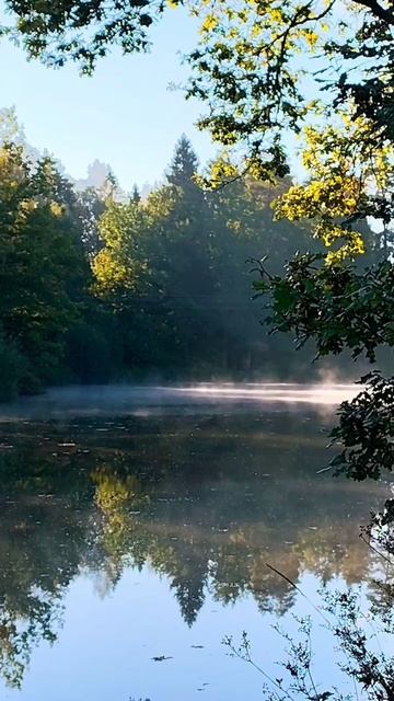 Последние выдохи лета в этом году 🌿