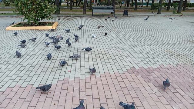 1000009782.mp4