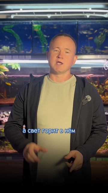 ВОДОРОСЛИ: почему и отчего?