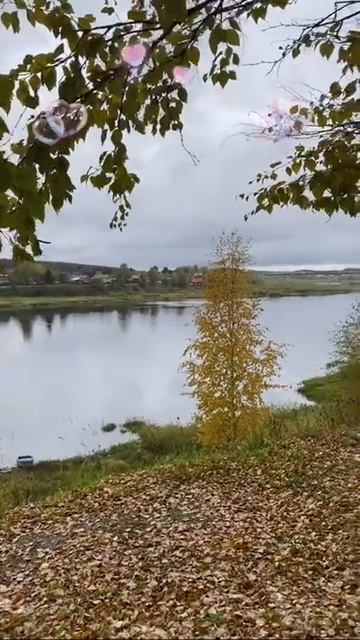 Музыкальная вечерняя видео открытка ♥️♥️