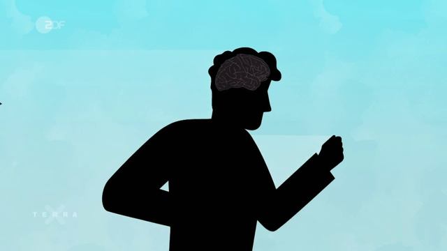Как_возникают_чувства_счастья_?