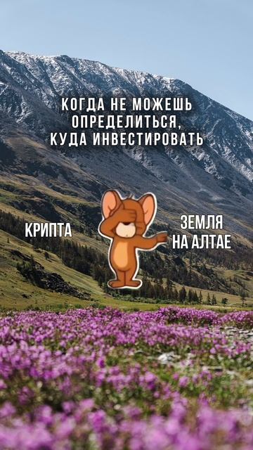 Инвест-тур