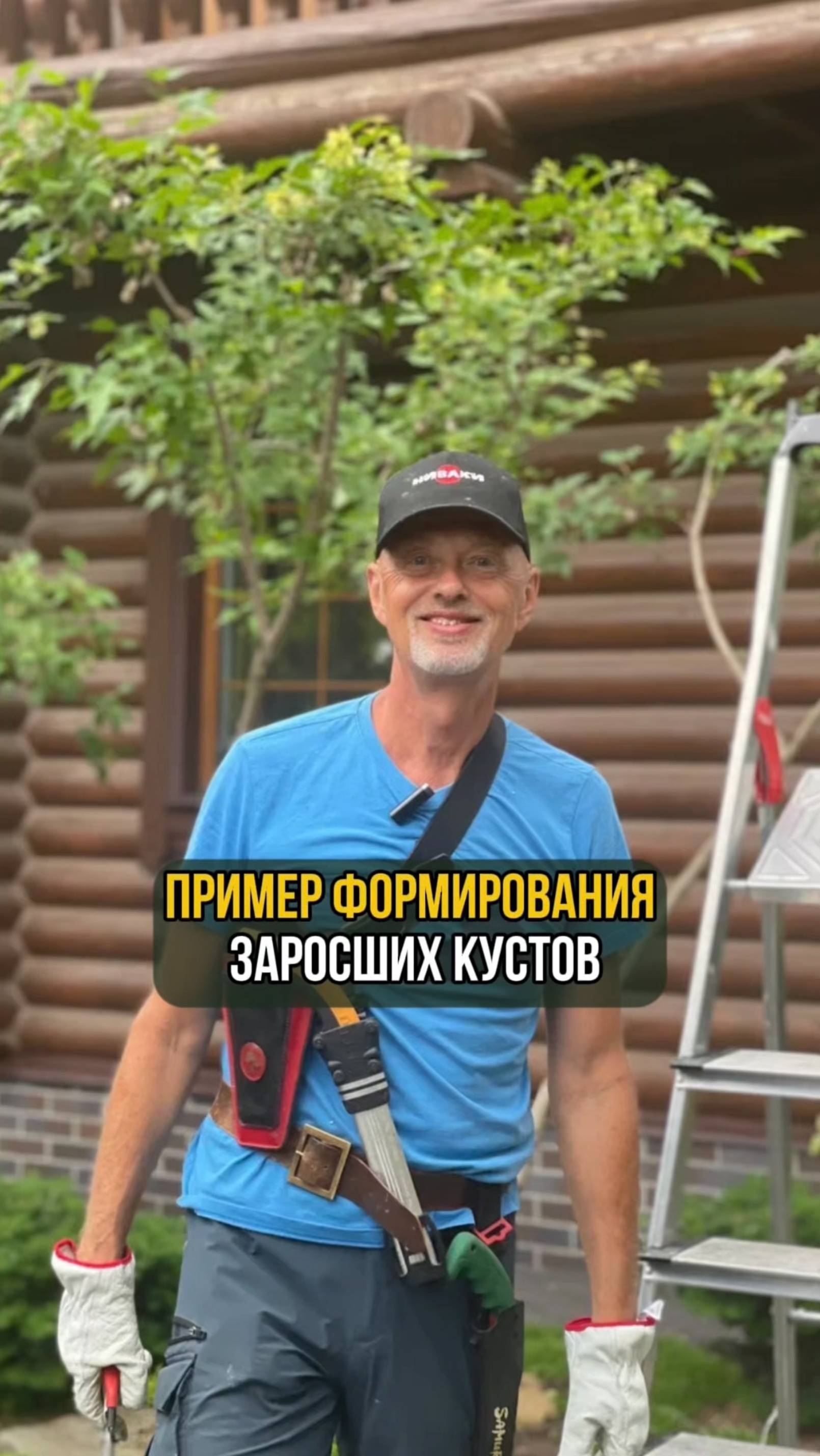 Пример формирования заросших кустов