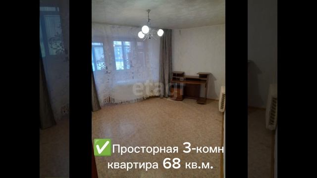 Video5384512460755599476