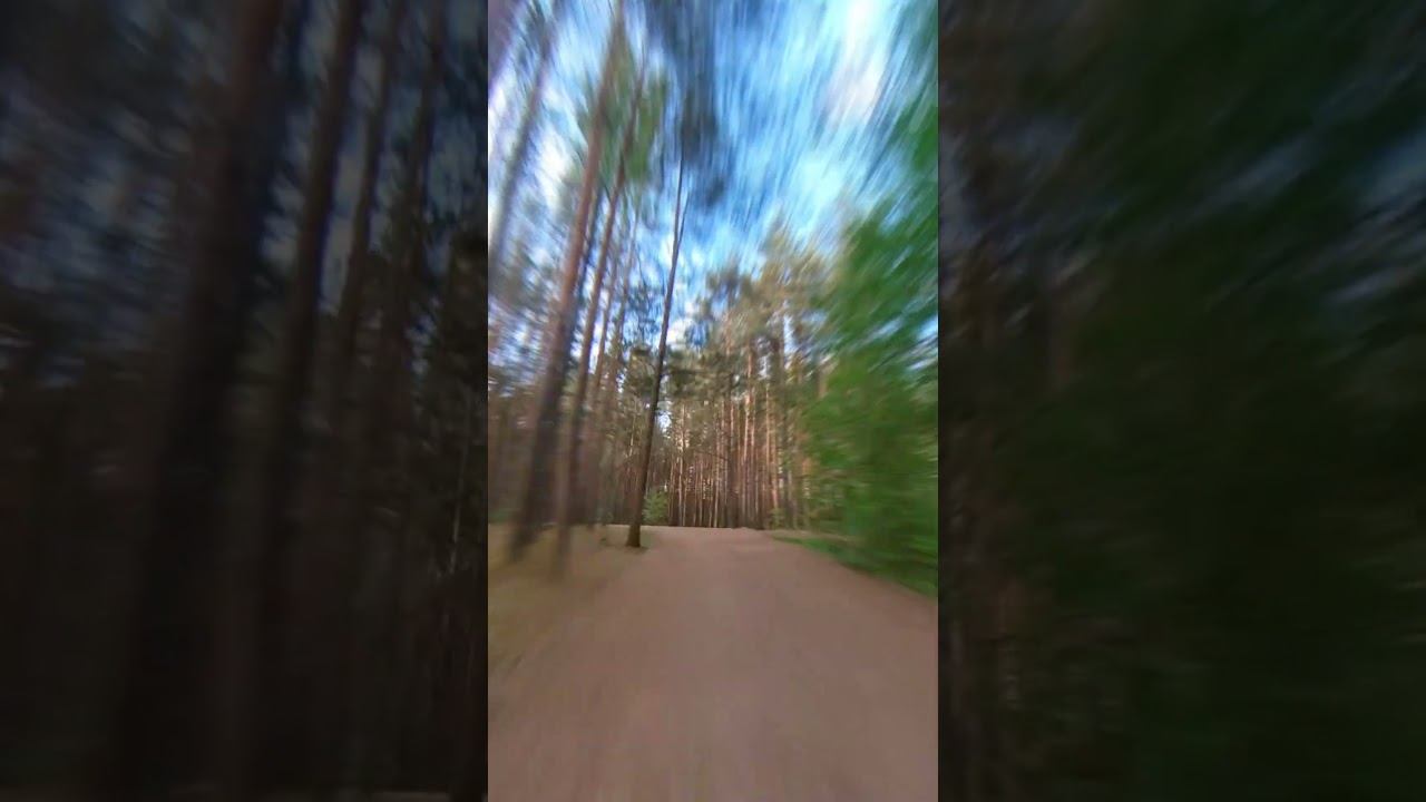По Левашовскому заказнику