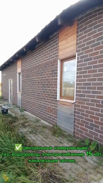 Video5384512460755599748