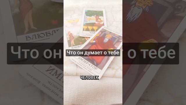 Что он думает о тебе