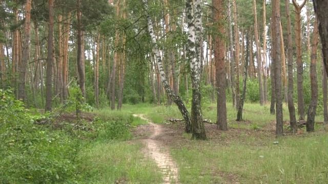В 25 районах Воронежской области установился V-й чрезвычайный  класс пожарной опасности
