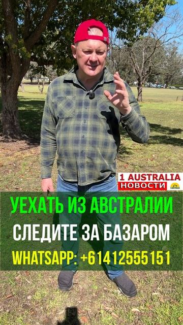 УЕХАТЬ ИЗ АВСТРАЛИИ. СЛЕДИТЕ ЗА БАЗАРОМ. 1Australiashort1454