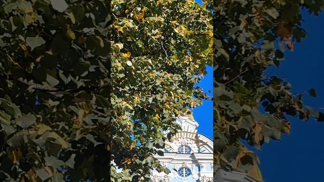 Никольский сад
