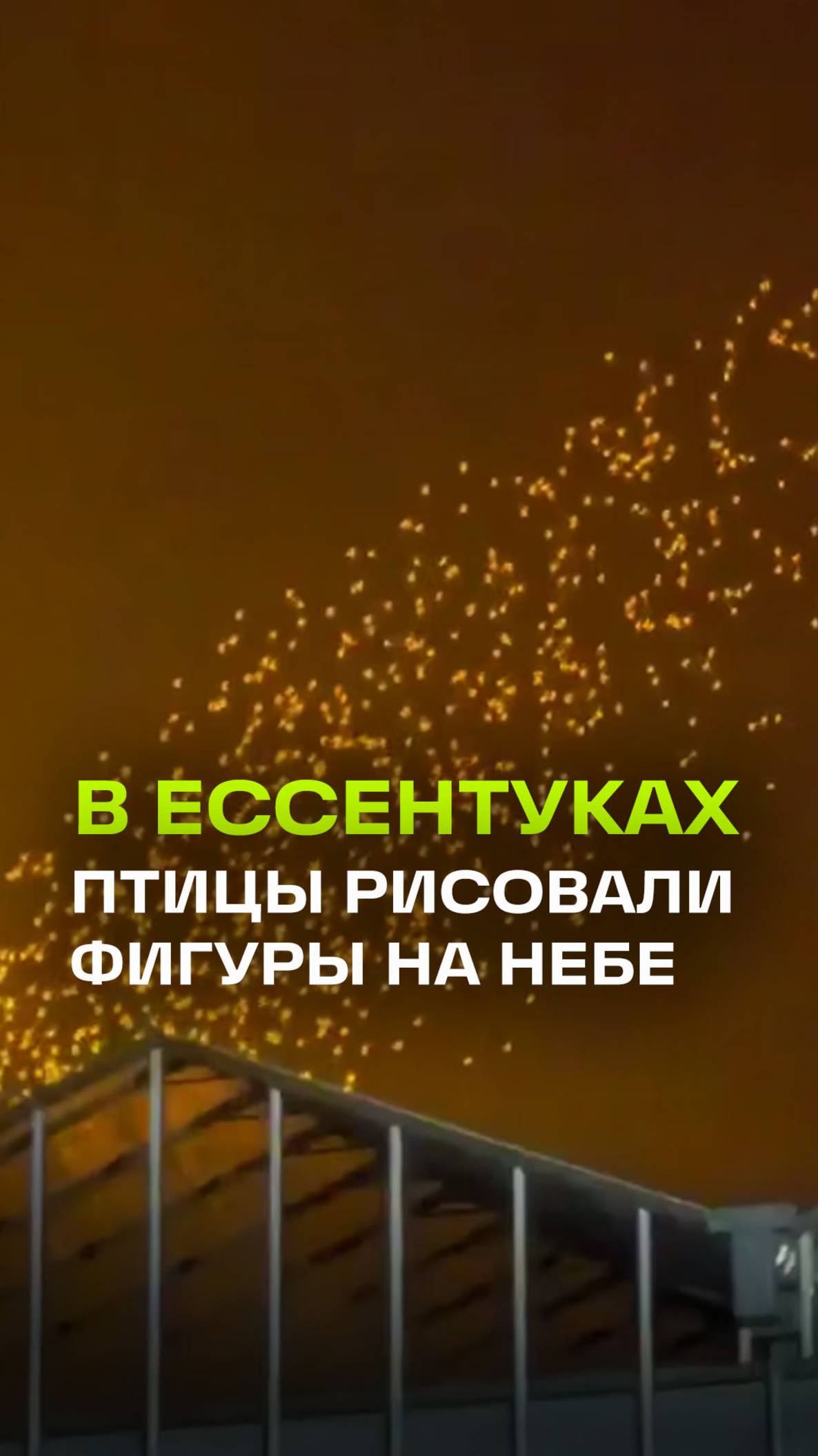 Жителям Ессентуков удалось увидеть мурмурацию птиц