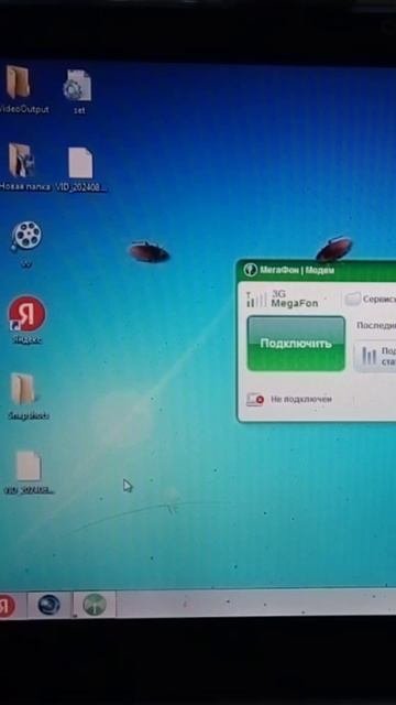 Тараканы и ноутбук!