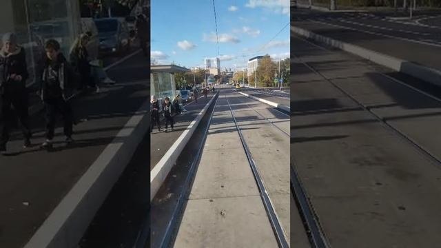 Поездки в общественном транспорте  26-сен-2025 2