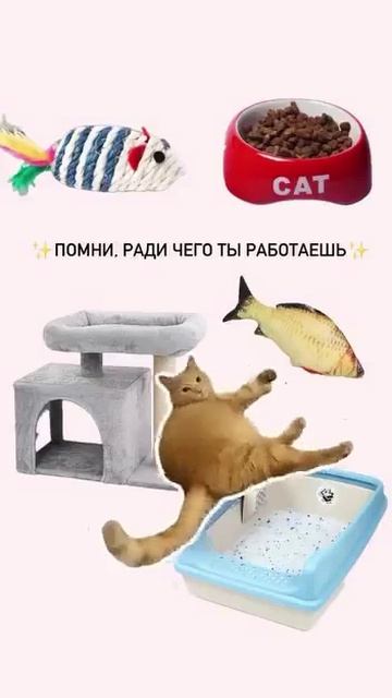 Немного мотивации под конец рабочей недели shorts