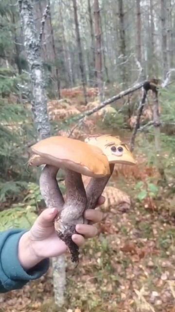 А у нас в Рязани....