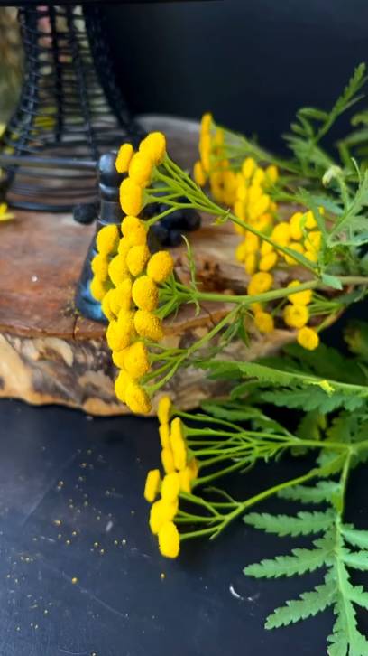 Мастер-модель для изготовления силиконовых молдов осенних свечей грибов мухоморов.
#свечи #мухомор