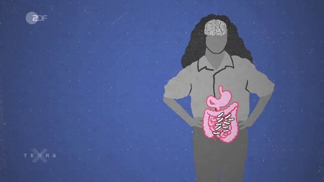 Почему мы испытываем чувство голода?