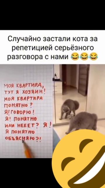 Приколы, юмор, смешные ролики, #смех #юмор #приколы #смешные моменты #смешные видео #топ #тренды