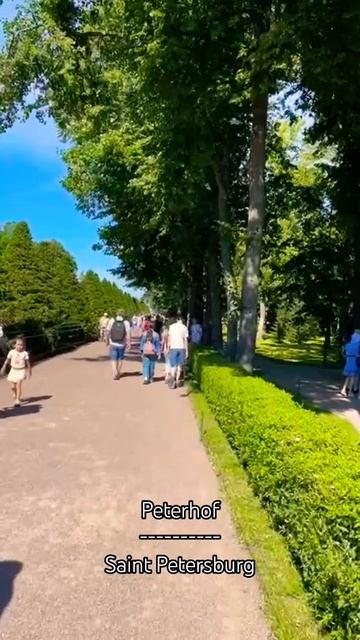 Петергоф: Санкт-Петербург
