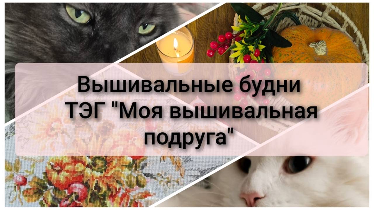 Вышивальные будни. 4 финиша. История одного человека  - ТЭГ 