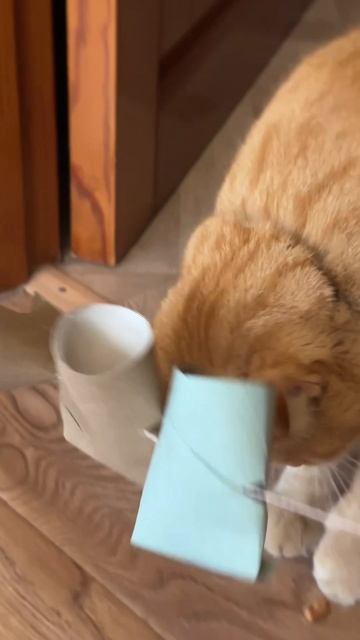 Делаем игрушку для котика
