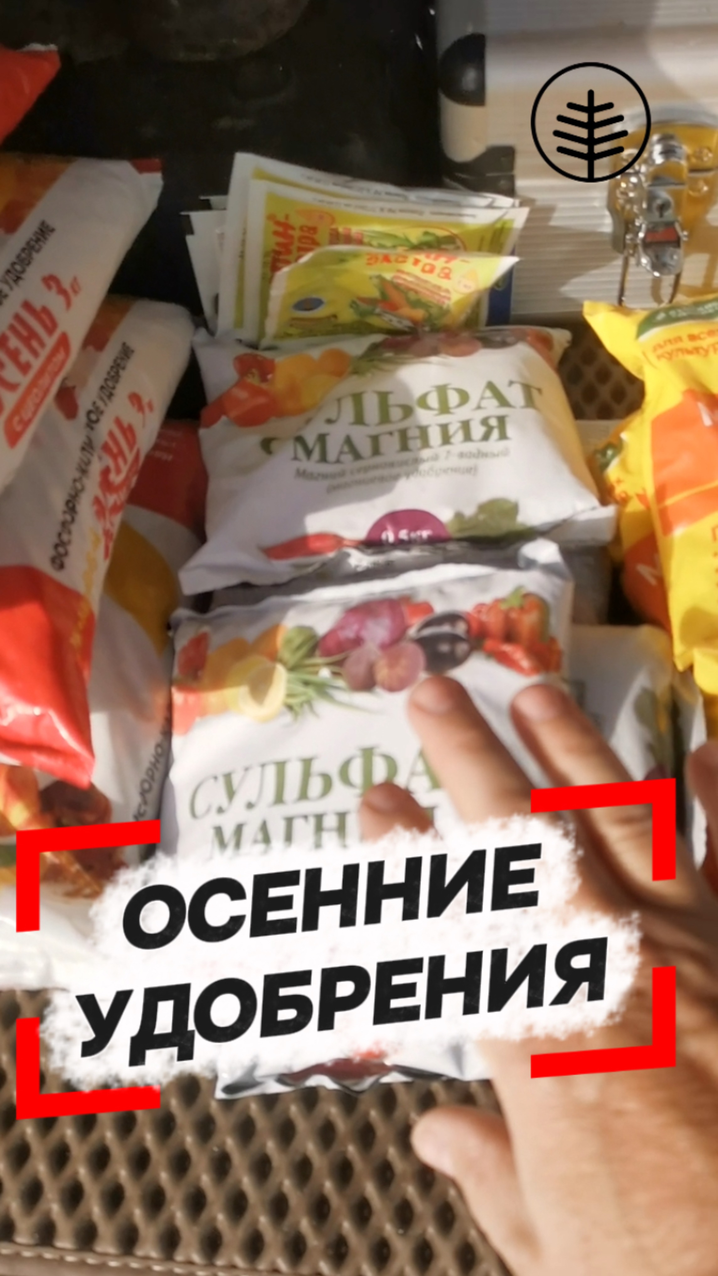 🌳🍁 ОСЕННИЕ УДОБРЕНИЯ