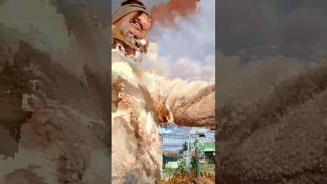 гулянка