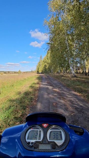 Стелс скиф 50