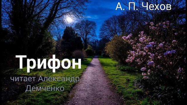 Чехов А. П. 