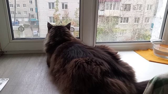 Система наведения)))