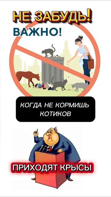 ☀️😻 НЕ ЗАБУДЬ - КОГДА НЕ КОРМИШЬ КОТИКОВ, ПРИХОДЯТ КРЫСЫ 🐀 
#cat #rat #eat #food