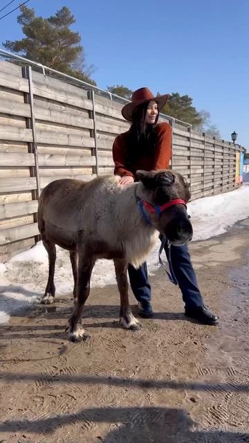 #верхнийбор #базаотдыха #горячиеисточники #тюмень #термы #отдых #spa #источники #Россия