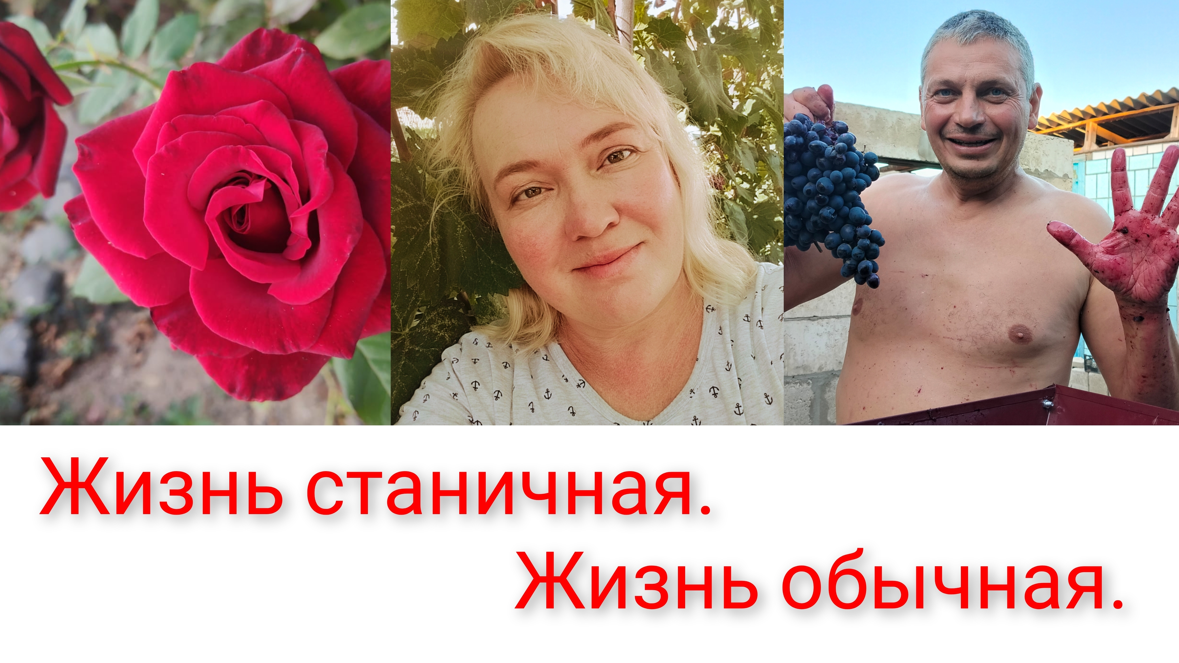 Жизнь как есть.Нам ли быть в печали.