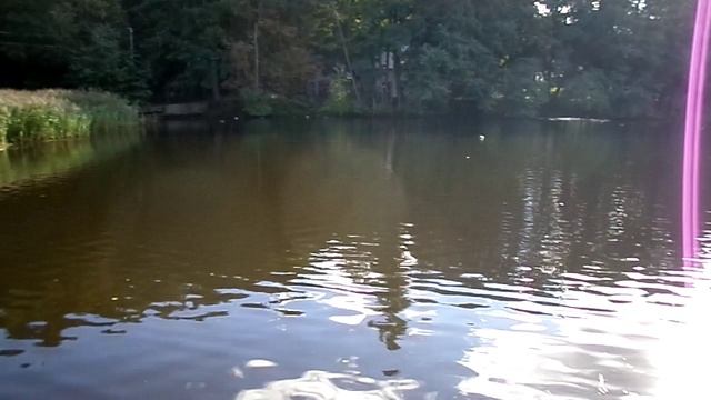 ОЗЕРО ТИХОЕ. СВЕТЛОГОРСК. КАЛИНИНГРАДСКАЯ ОБЛАСТЬ