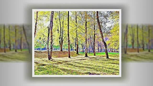 САЛЮТ ЛЕТА