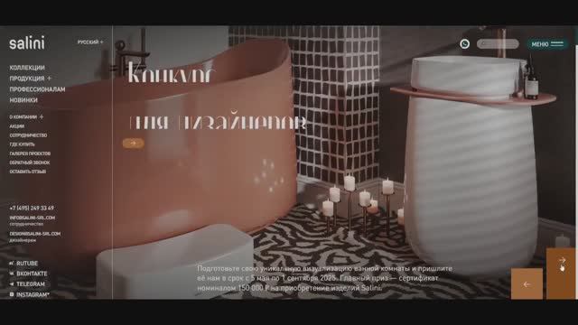 Обзор главной страницы сайта Salini