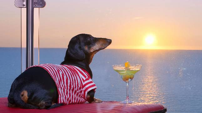 Никого не держать в своей жизни и радоваться счастливым моментам.