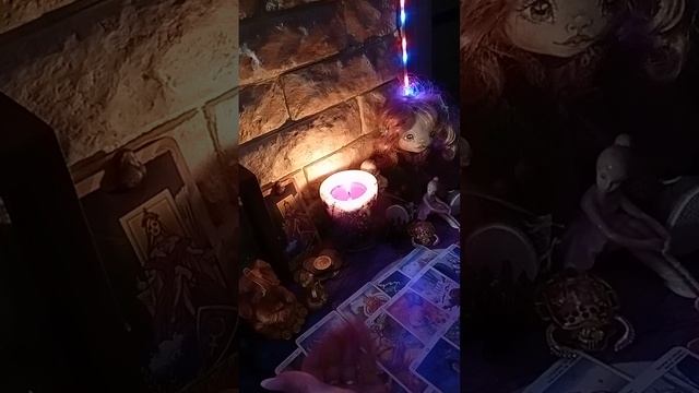 Чем порадует жизнь?!
