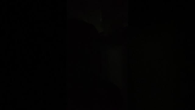 Чертопханов и Недопюскин